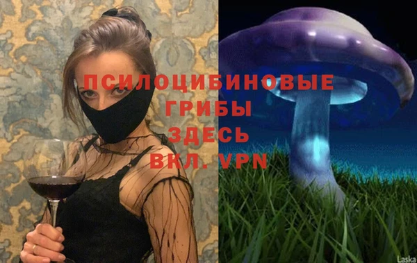 2c-b Белокуриха