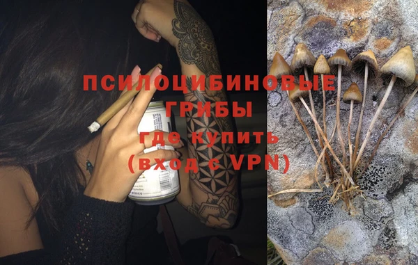 2c-b Белокуриха