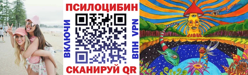 Галлюциногенные грибы мухоморы  Тогучин 